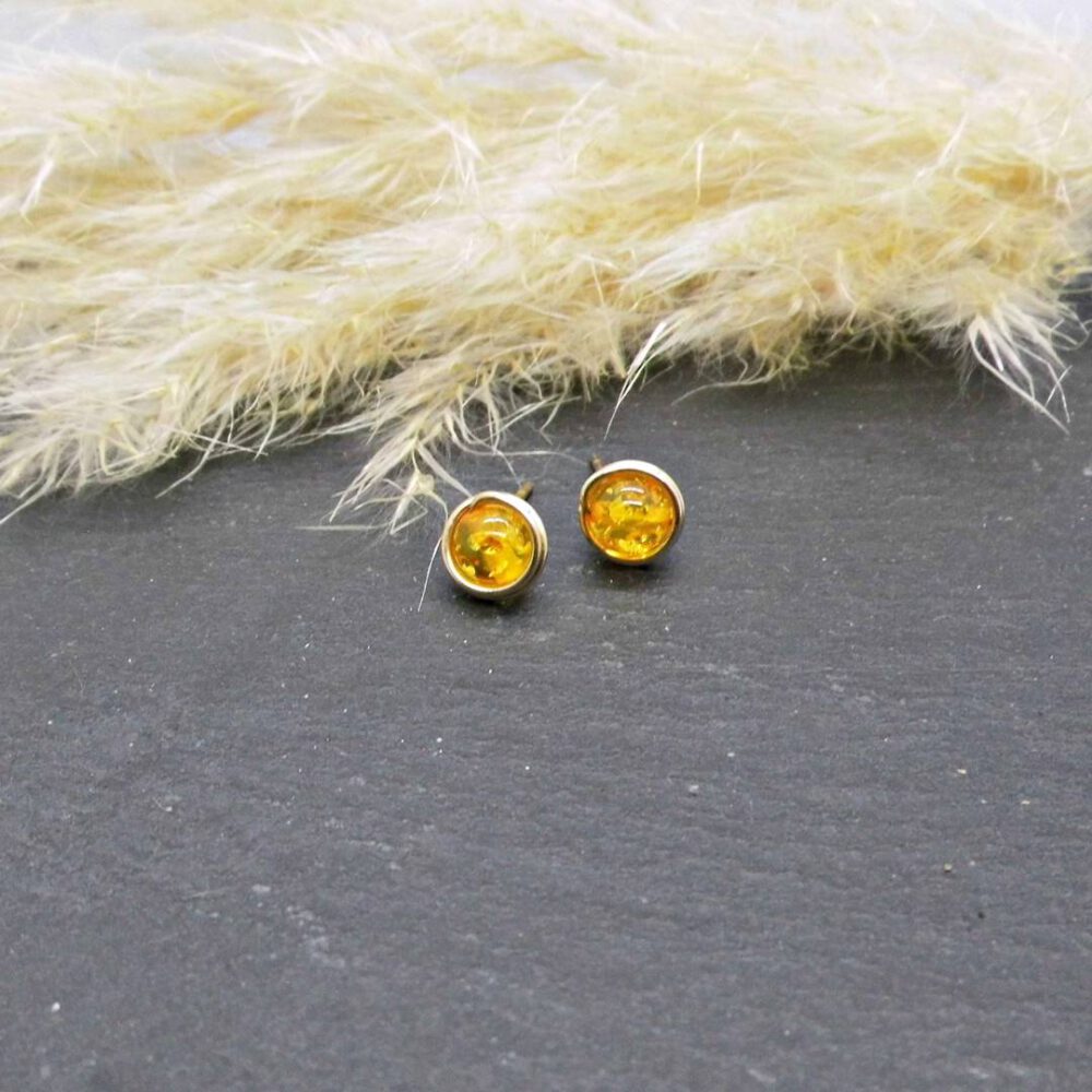 bernstein-ohrstecker-goldfilled Ohrstecker Bernstein Goldfilled