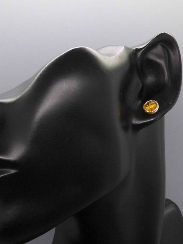 tragebeispiel-bernstein-ohrstecker-gold Ohrstecker Bernstein Goldfilled